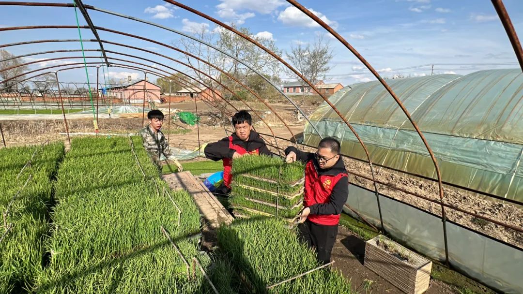 江川农场将开展党员志愿服务作为学习贯彻主题教育的关键环节，把学习
